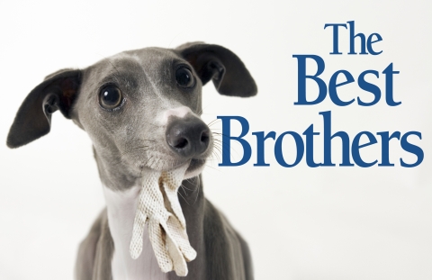 The Best Brothers logo