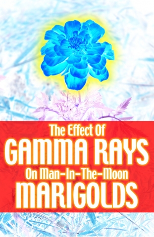 Gamma Rays logo