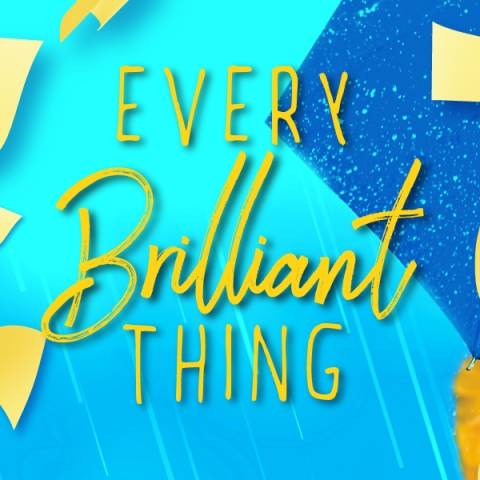 Every Brilliant Thing