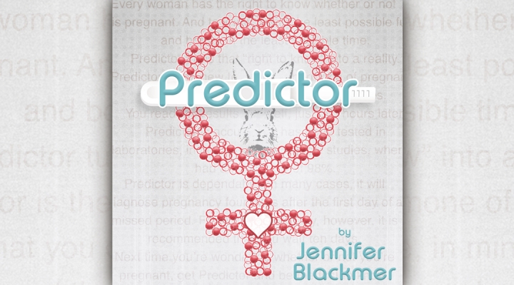 Predictor logo banner